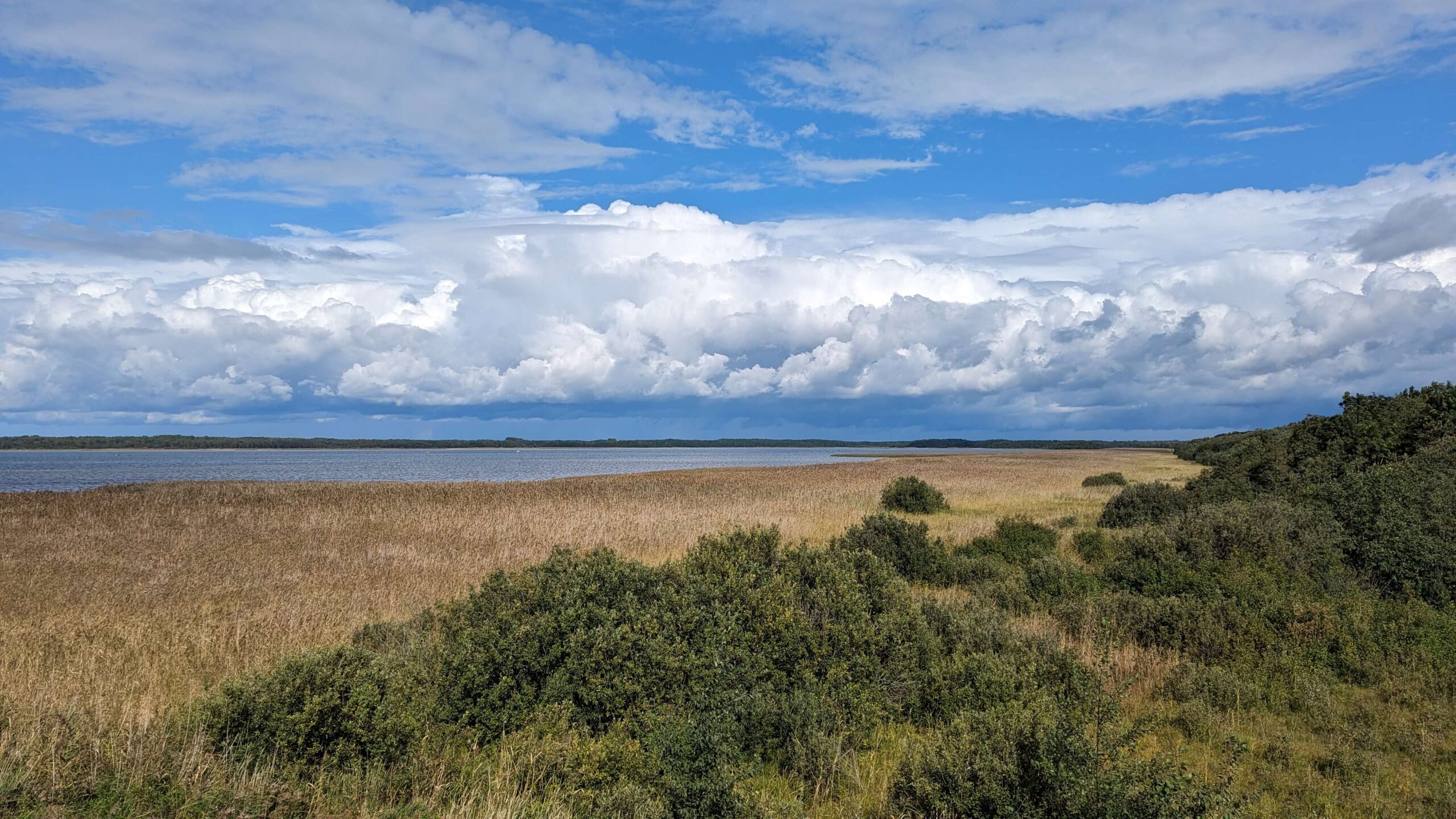 Saaremaa Estland Insel Natur Reiseblog