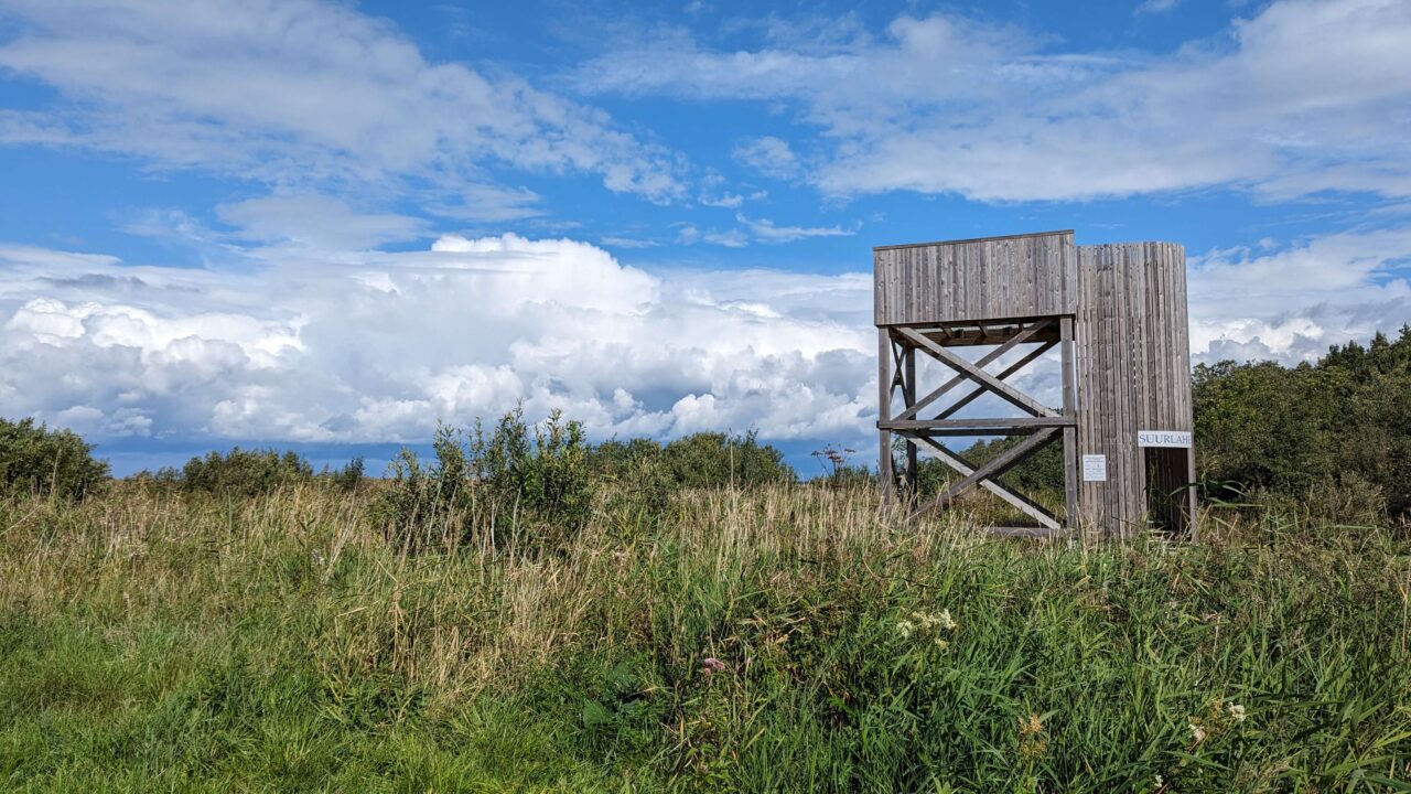 Saaremaa: Highlights der größten Insel Estlands - Reiseblog miriglobe